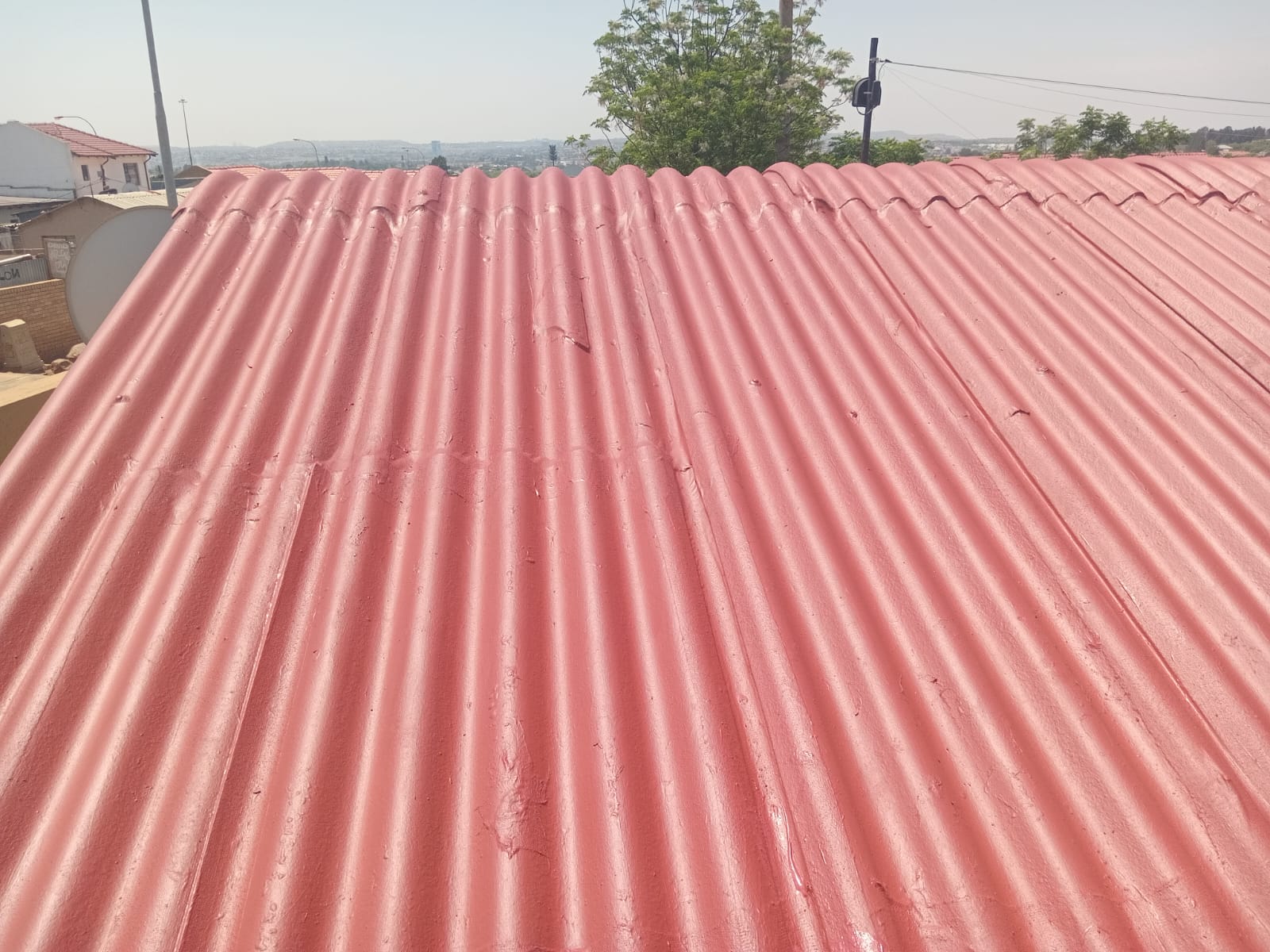 Roof Painting Service 2